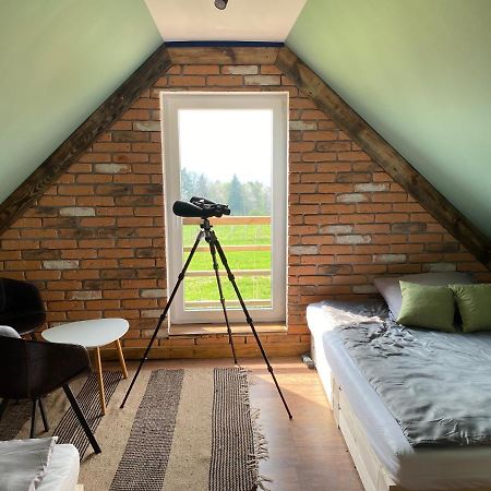 Domek Przy Debrzy Villa Poraz Buitenkant foto