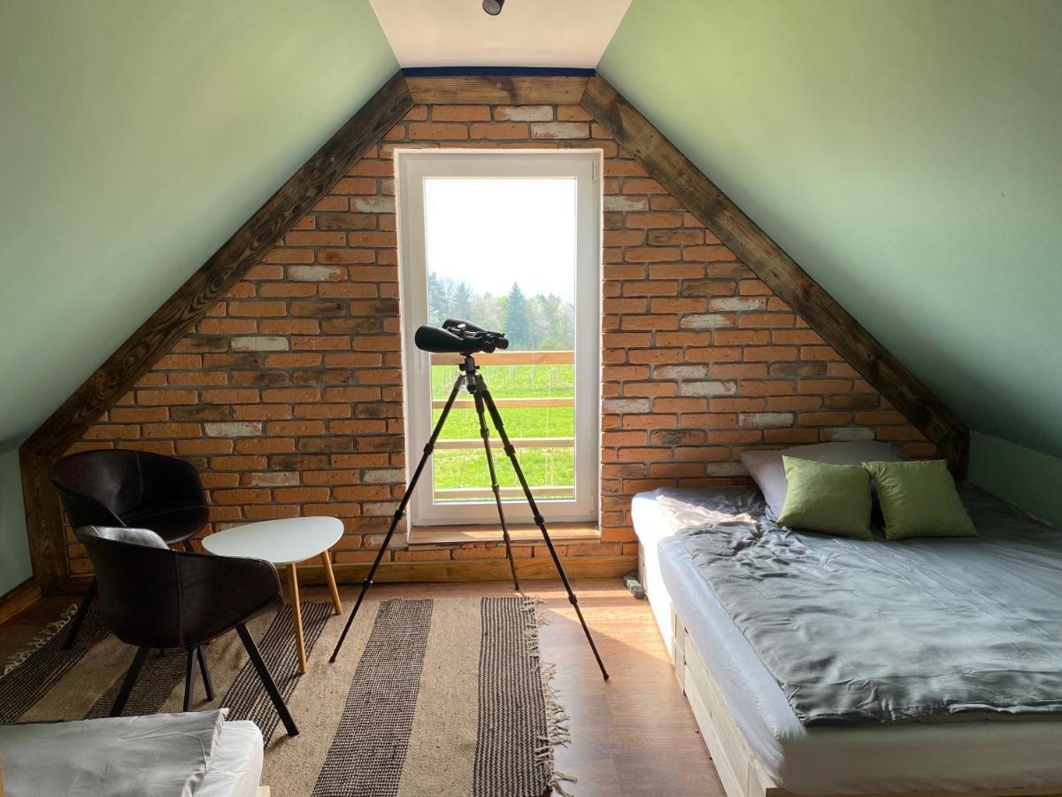 Domek Przy Debrzy Villa Poraz Buitenkant foto