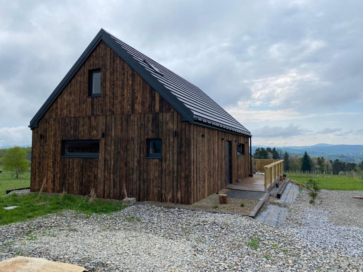 Domek Przy Debrzy Villa Poraz Buitenkant foto